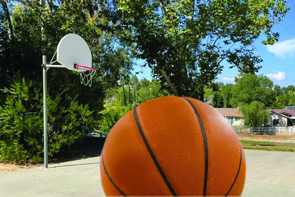 Basketball Court